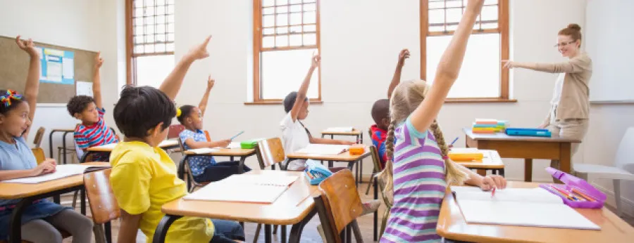Program School Programs 1 pupils_raising_hand_in_classroom_13339_103346